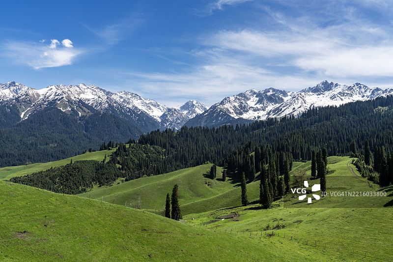中国新疆伊犁河谷的自然风光。图片素材