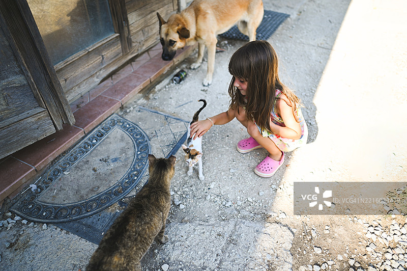 小女孩在木门前抚摸猫和狗图片素材