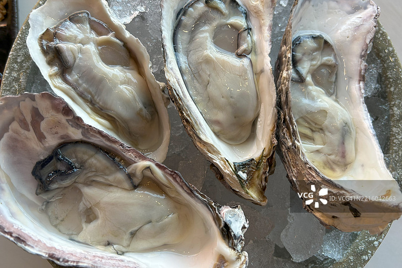 新鲜生蚝，海鲜美味。图片素材