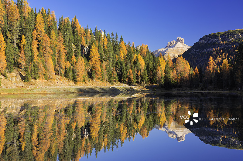 安托尔诺湖(Lago di Antorno)与秋季的山(斯卡尔佩里塔(Torre dei Scarperi))和落叶松(Larix decidua)倒影。图片素材