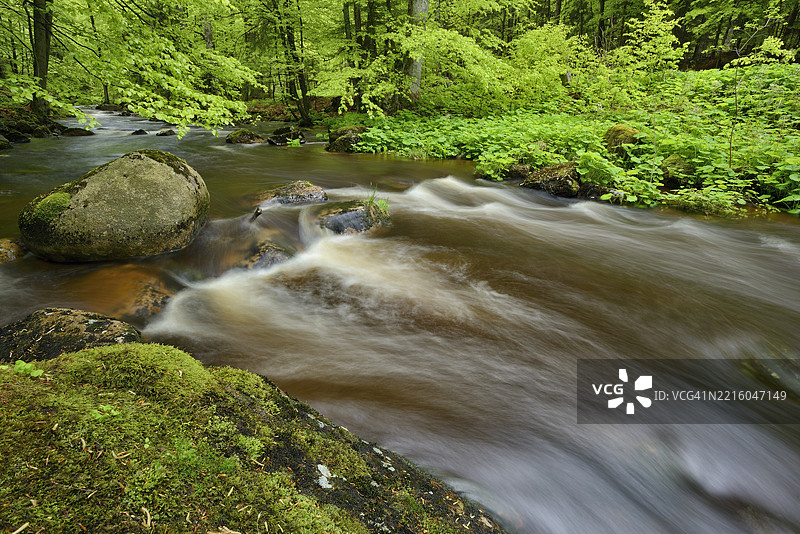 埃伦达尔谷的博德河（Kalte Bode）。德国萨克森-安哈尔特州哈茨地区的施尔克。图片素材