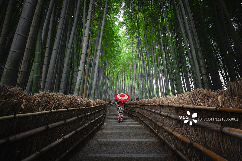 穿着和服的日本女性在日本竹林中的木栈道上图片素材