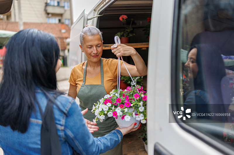 在当地花卉摊位购买悬挂花篮图片素材