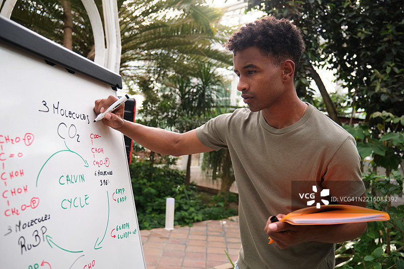 年轻科学家在植物园的白板上绘制卡尔文循环图片素材