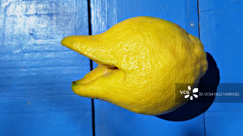 一颗快乐微笑的新鲜柠檬放在蓝色木质表面上图片素材