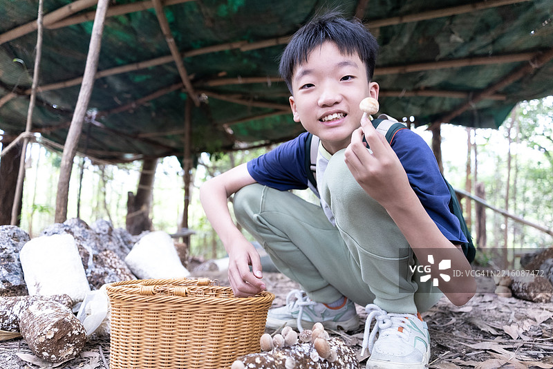 孩子们在农场采蘑菇图片素材