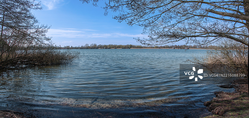 德国梅克伦堡-前波美拉尼亚州古斯特罗的因塞尔湖岸边的树木图片素材