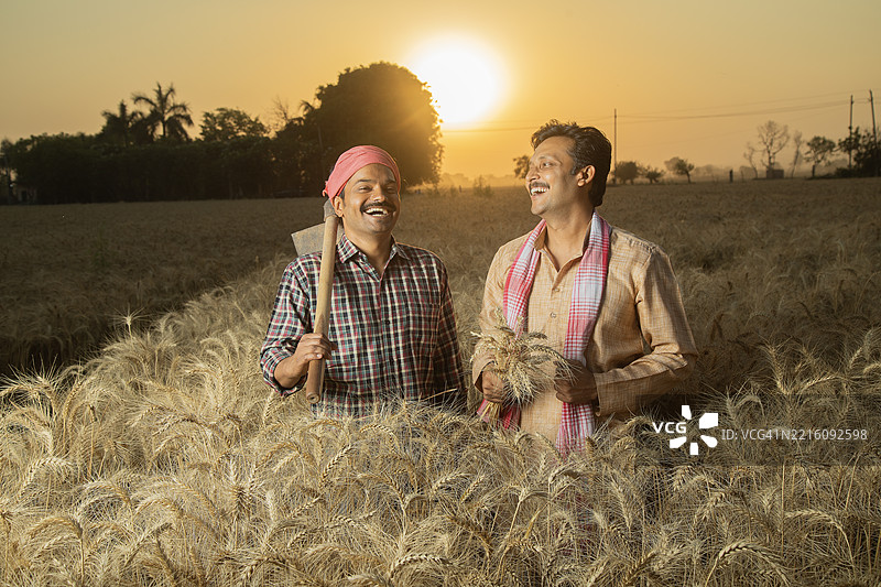 农民在有机农场收割时讨论图片素材