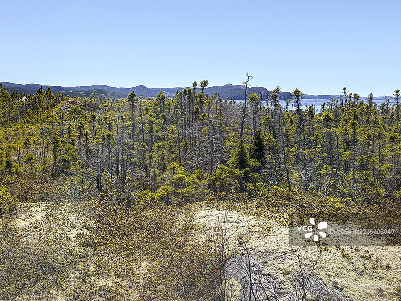 典型的纽芬兰自然风光图片素材
