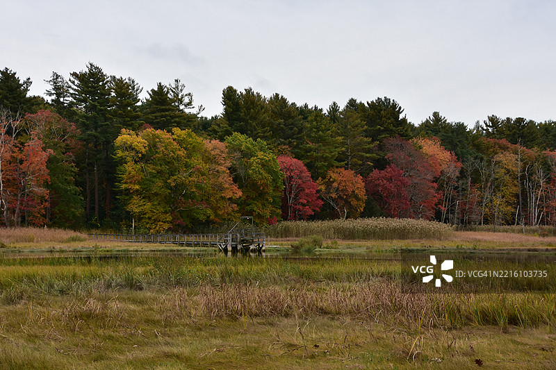 马萨诸塞州美国河边的五彩斑斓的树叶图片素材