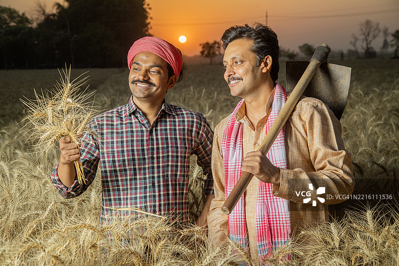 农民在有机农场收割时讨论图片素材