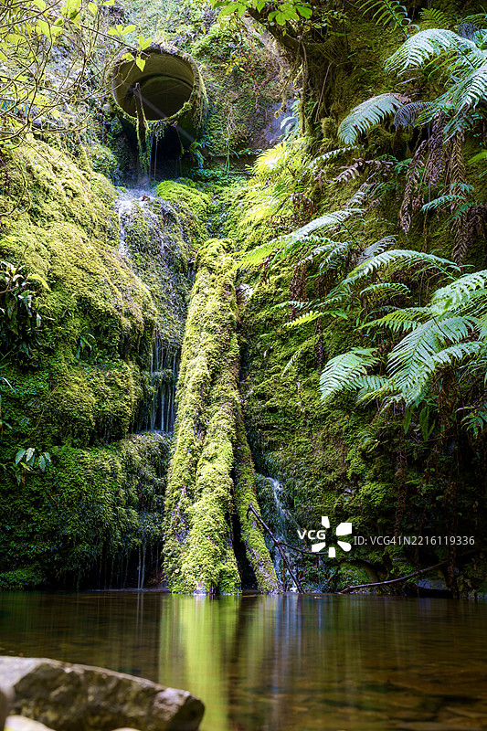 新西兰惠灵顿上哈特森林中的瀑布美景图片素材