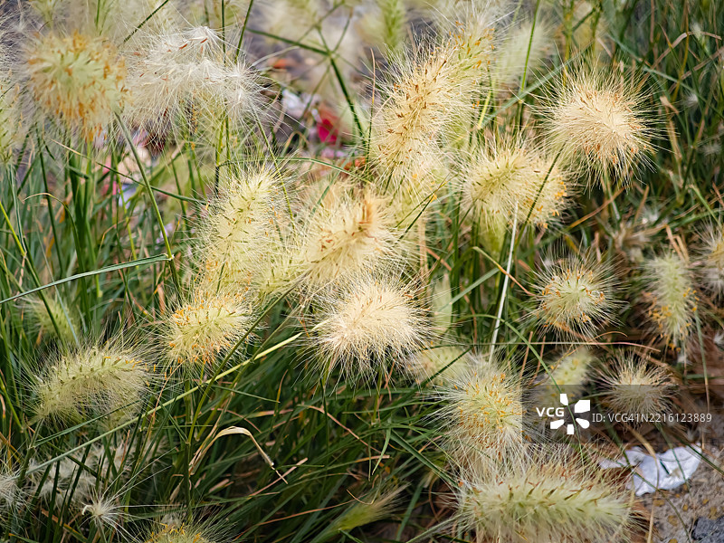 内疚是我们自己良心施加的惩罚，夹杂着怨恨和图片素材