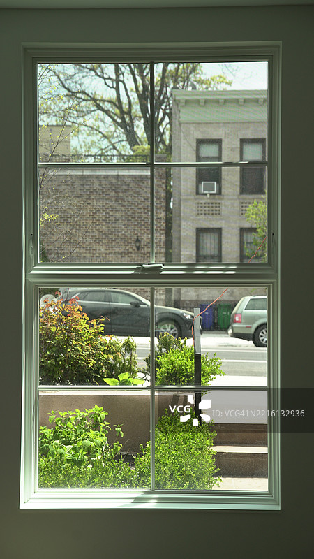 透过窗户看到的树木，美国图片素材