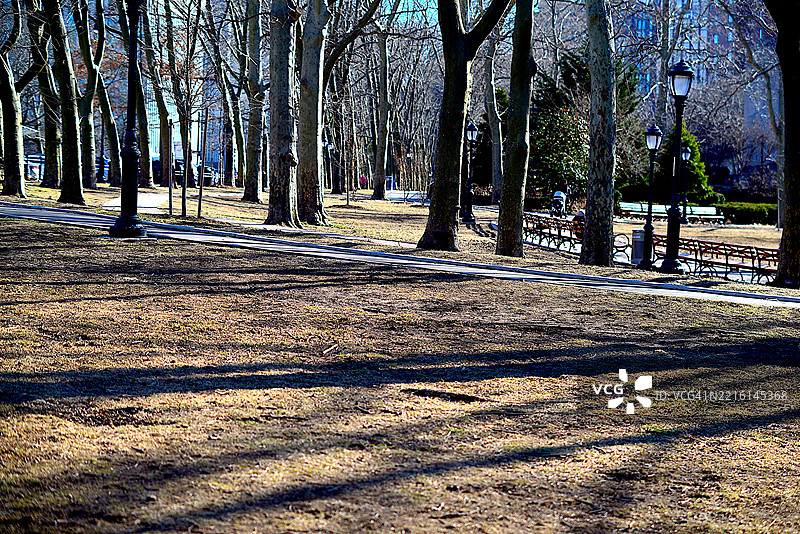 山坡公园图片素材