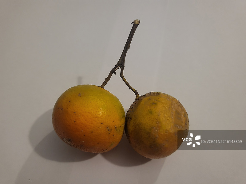 橘子柠檬图片素材