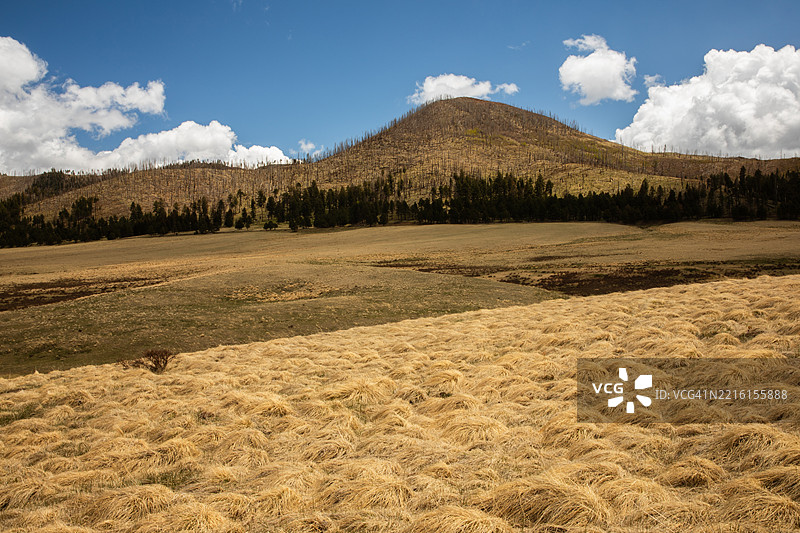 兔子峰图片素材