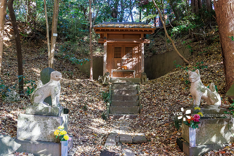 照片展示了公园里的小芋头稻荷神社。穿过一座古老的鸟居，攀爬覆盖着苔藓的台阶，可以找到一座古老的神社和其他建筑。精美雕刻的狛犬（守护犬）也在其中。图片素材