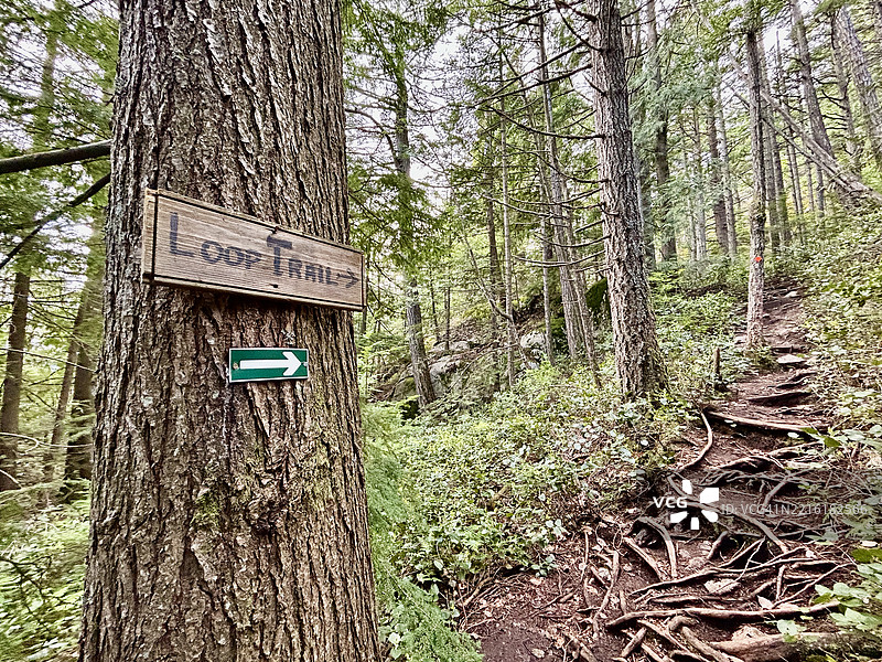 穆林湖，橡树瞭望台，斯阔米什，不列颠哥伦比亚省图片素材