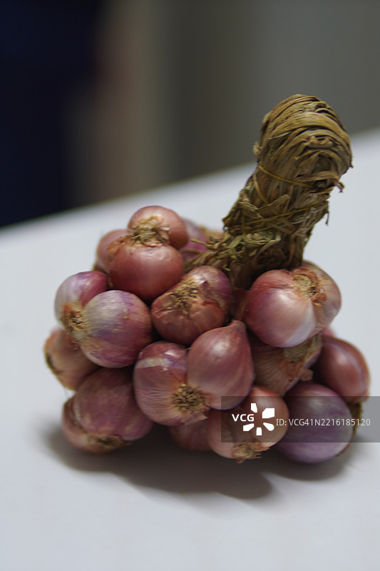 小葱 Allium oschaninii图片素材