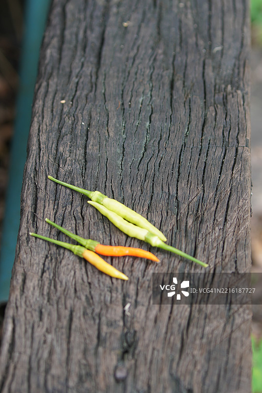 凯伦辣椒图片素材