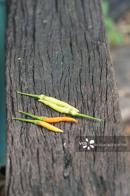 凯伦辣椒图片素材