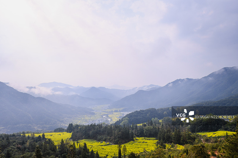 全景山景与黄色花朵图片素材