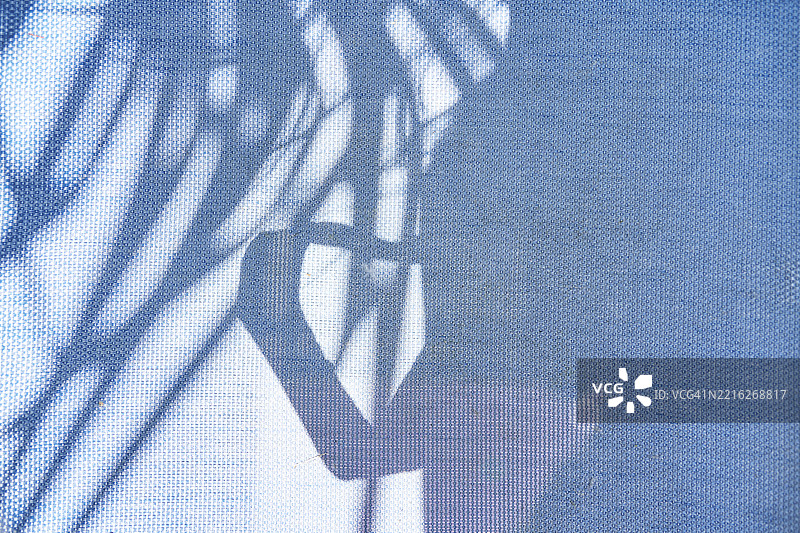 自然的轮廓和阴影投射在蓝色布料背景上图片素材