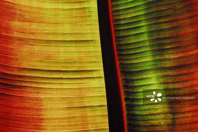 彩色的黄色、绿色和红色纺织品特写图片素材