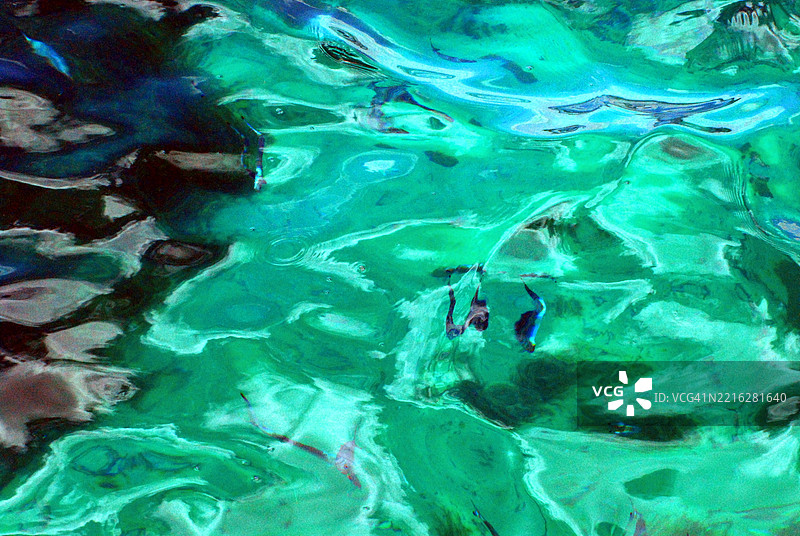 热带海洋中游动的鱼的全景拍摄图片素材