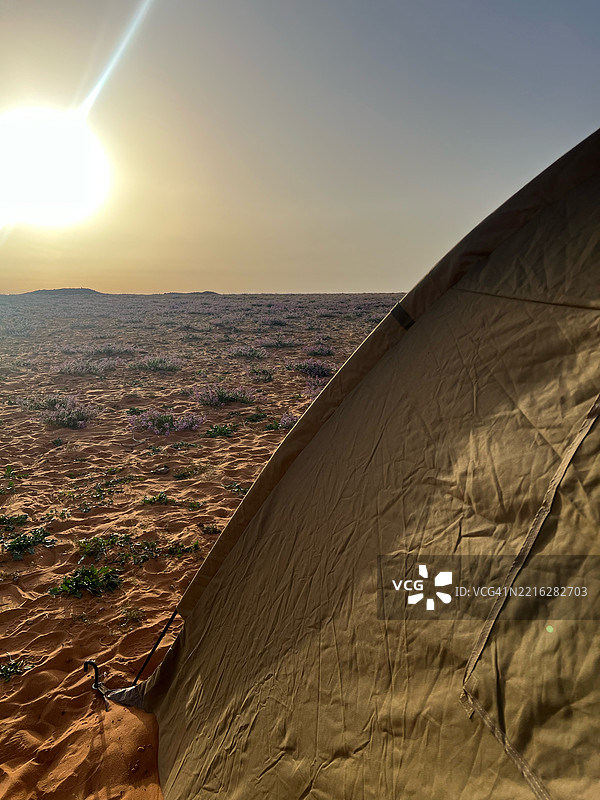 沙漠在晴朗天空下的美丽景色图片素材