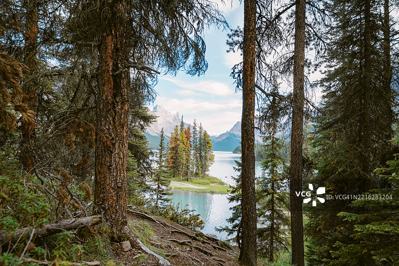 被树木环绕的灵魂岛在贾斯珀国家公园的美丽吸引着游客。图片素材