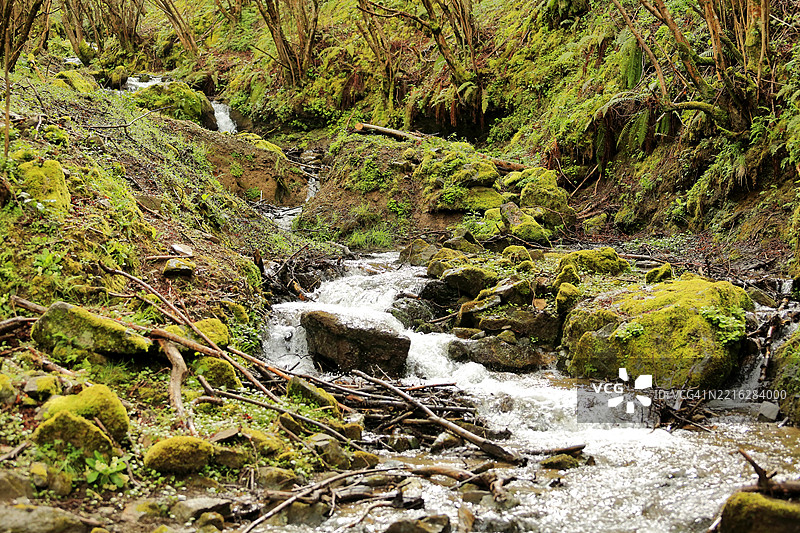 拉萨拉亚溪流穿过埃斯卡拉伊斯森林图片素材