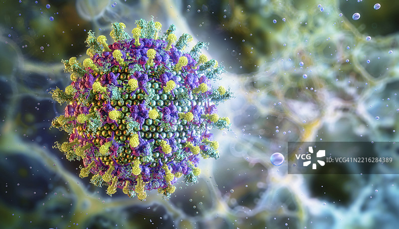 尼帕病毒插图图片素材