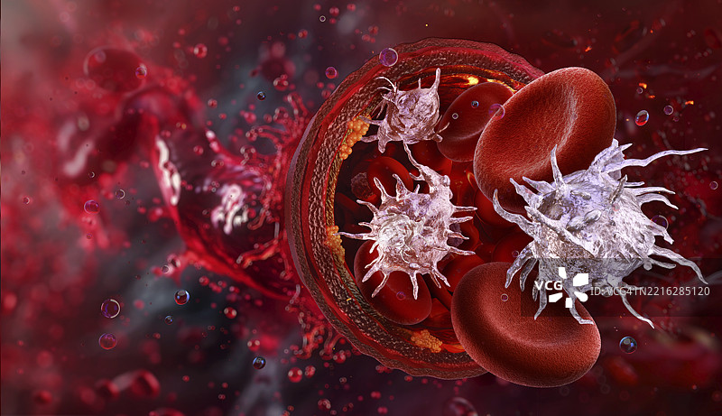 红细胞和血小板插图图片素材