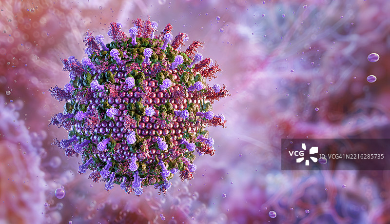 亨德拉病毒插图图片素材
