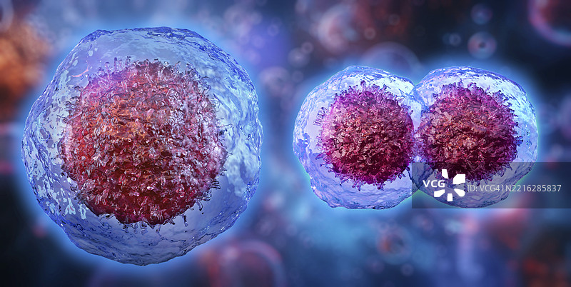 细胞分裂，插图图片素材