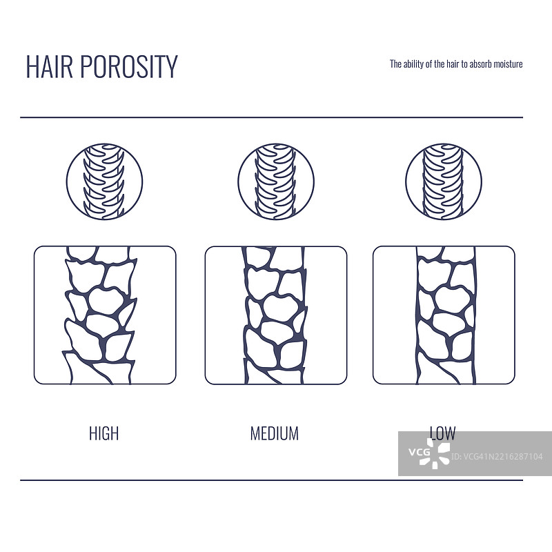 发质孔隙度类型插图图片素材