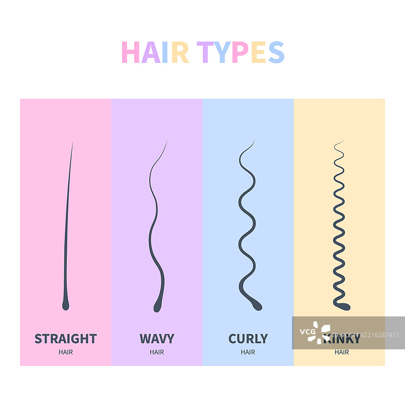 发型类型插图图片素材