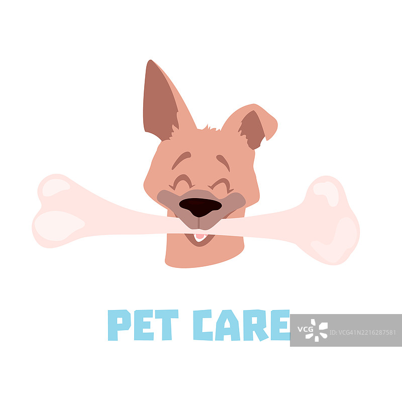 宠物护理，概念插图图片素材