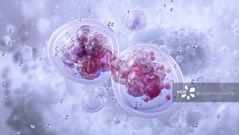 细胞分裂，插图图片素材