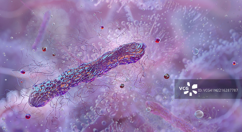 梭状芽孢杆菌插图图片素材