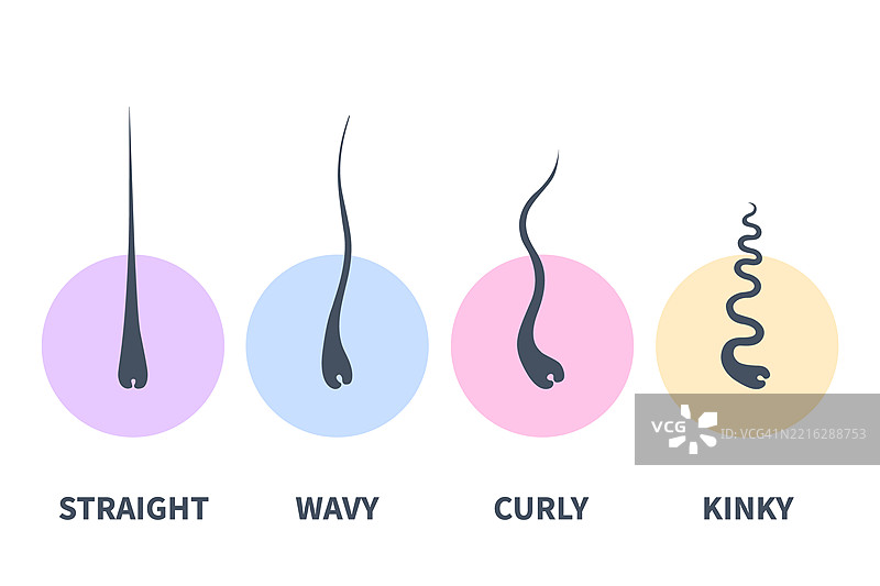 发型类型插图图片素材
