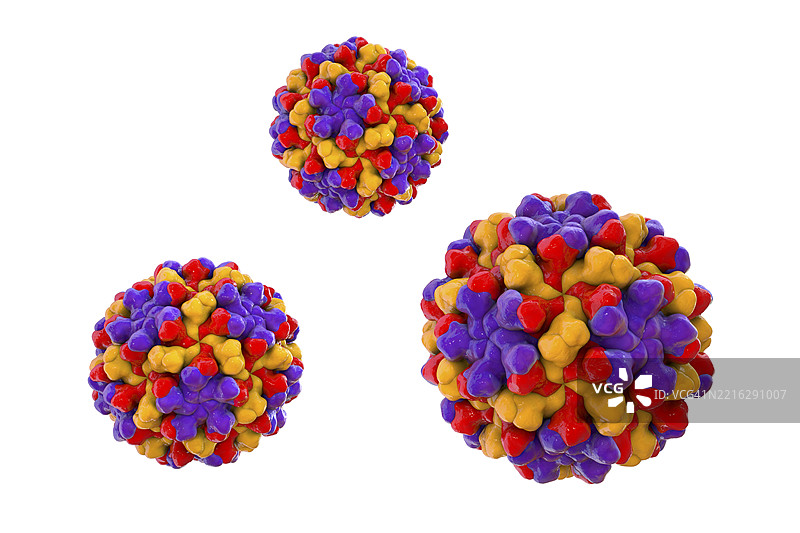 番茄灌木矮化病毒插图图片素材