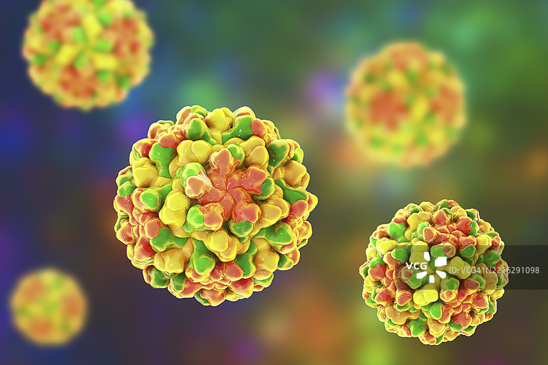 番茄丛生矮化病毒插图图片素材