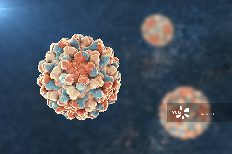 番茄矮化病毒插图图片素材