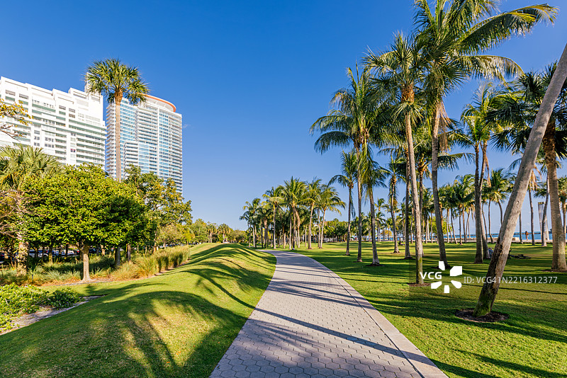 南海滩，迈阿密，佛罗里达州，美国，棕榈树间的小路通向住宅公寓大楼图片素材