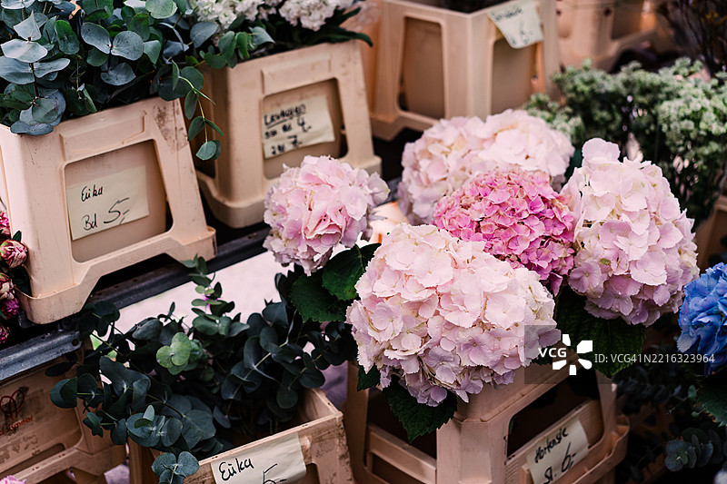 美丽的市场展示新鲜的绣球花和绿植图片素材