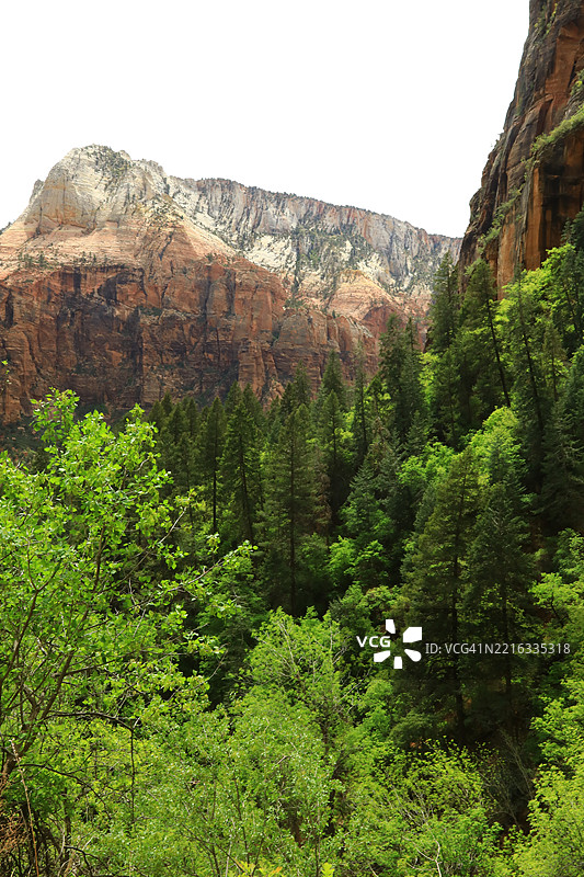 锡安国家公园的风景视图图片素材