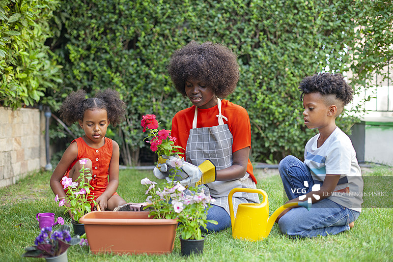 春天的日子里，快乐的家庭在后院园艺图片素材